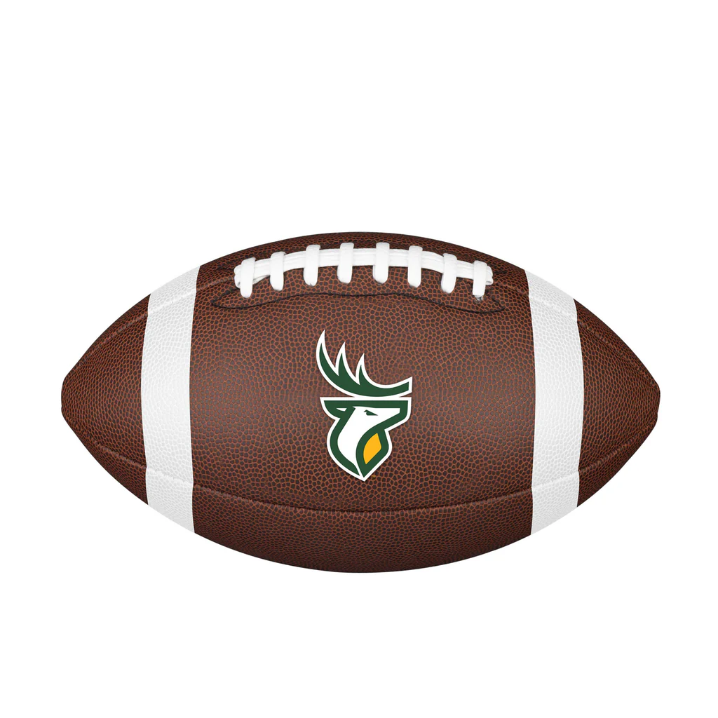 Wilson Edmonton Elks CFL Backyard Football